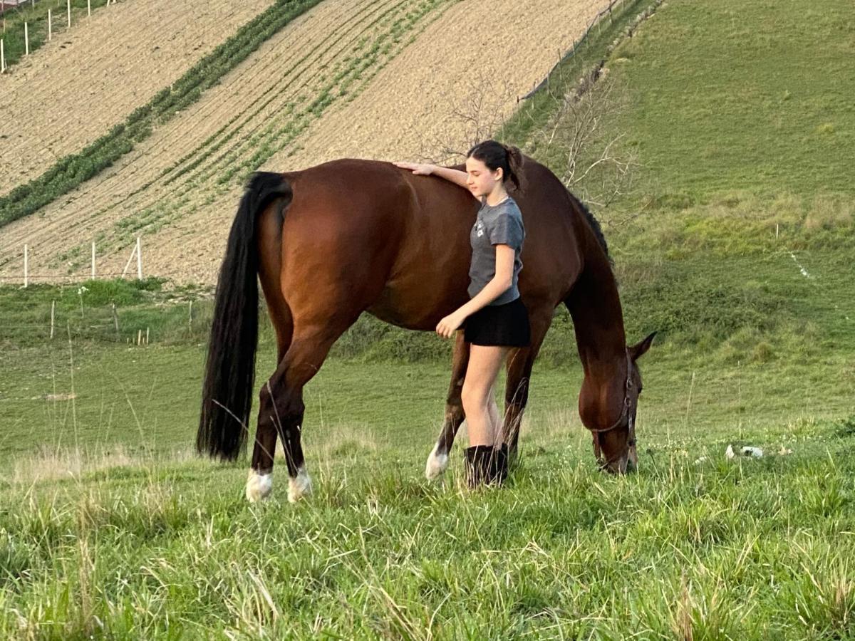 Tenuta Lisetta Monterotondo  Esterno foto